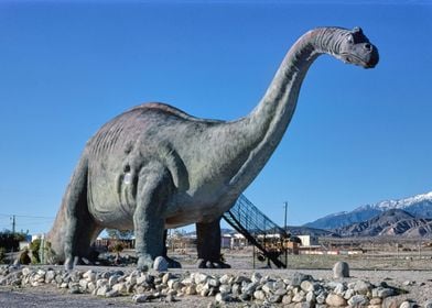 Dinosaur Replica