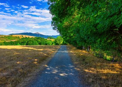 Road field landscape