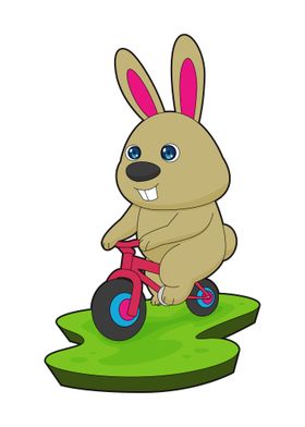 Rabbit Bicycle