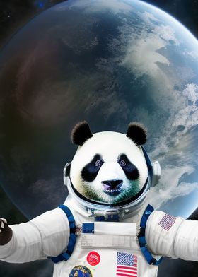 Panda in Space