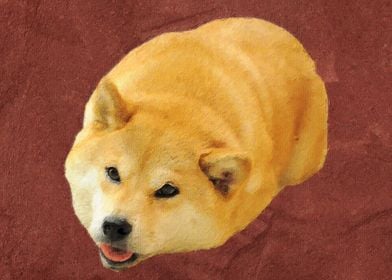 Doge meme