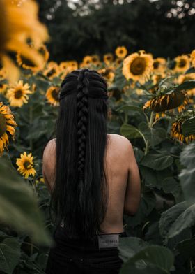 Sunflower Maiden