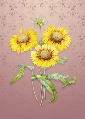 Vintage Blanket Flowers