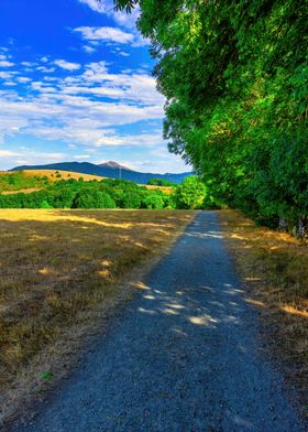 Road field landscape