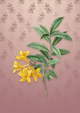 Vintage Yellow Azalea