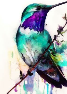 Colorful Bird