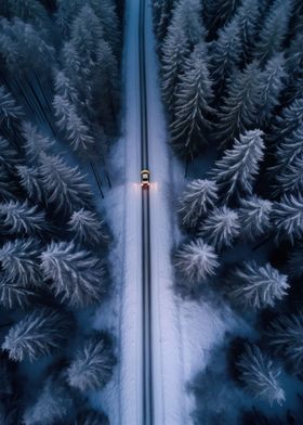 Night Drive in Winterland