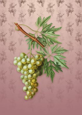 Grape Vine on Dusty Pink