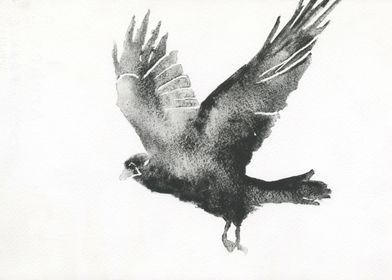 Crow watercolor painting 