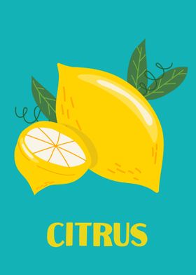 Kitchen Food Citrus Retro