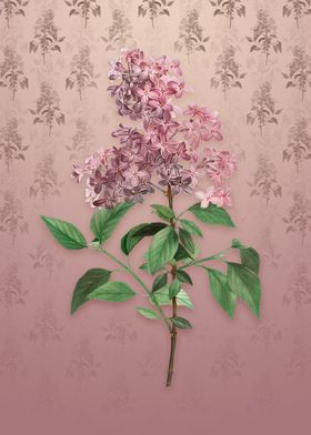 Vintage Chinese Lilac