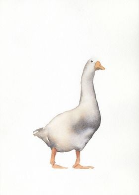 Goose watercolor painting 