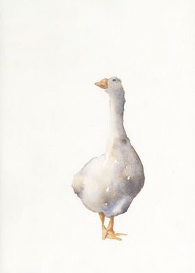 Goose watercolor painting 