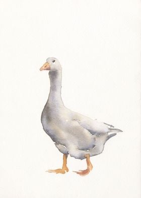 Goose watercolor painting 