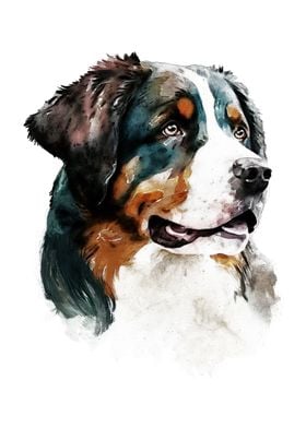 Bernese Dog Watercolor Art