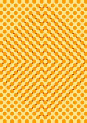 Circle Rectangle Illusion