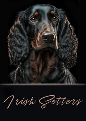 Irish Setters