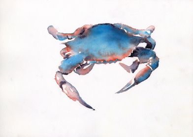 Watercolor painting crab 