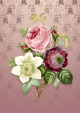 Vintage Anemone Rose