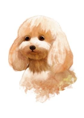 Poodle Puppy Watercolor 