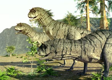 Carnotaurus dinosaur