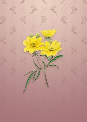 Golden Coreopsis Flower