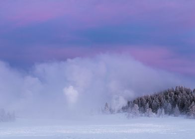 Snow Blizzard