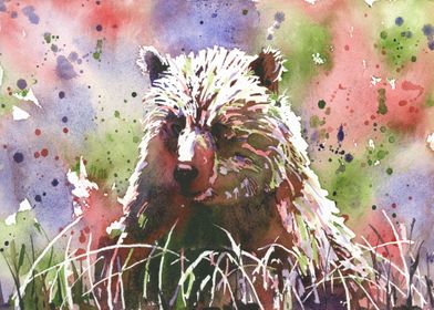 Grizzly Bear art