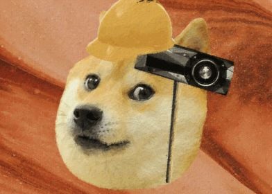 Doge meme