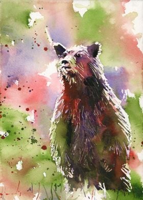 Grizzly Bear art