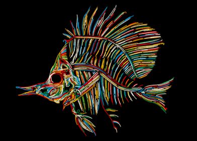 Weirdo Fish skeleton