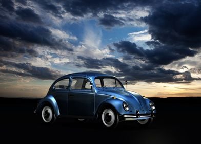 Beetle on the road