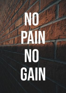 Gym Brick No Pain No Gains