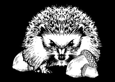 Porcupine Acorn