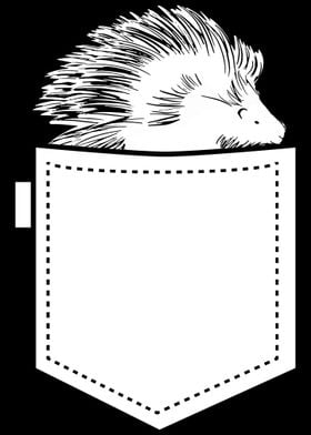 Porcupine Pocket