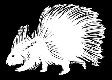 Porcupine