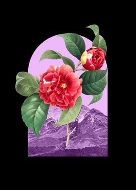 Floral Landscape Camellia