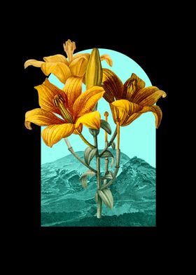 Floral Landscape Lilies Y