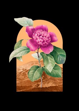 Floral Landscape Camellia