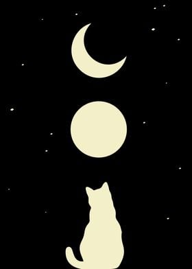 Space Cat 2