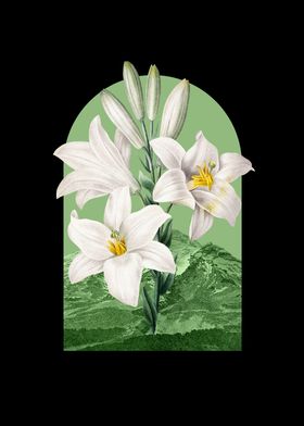 Floral Landscape Lilies