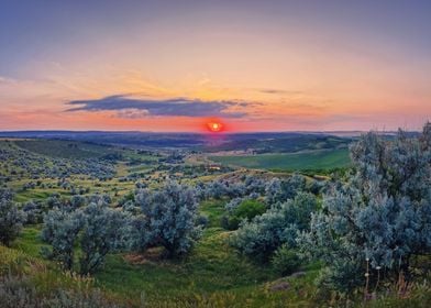 Panoramic summer sunset