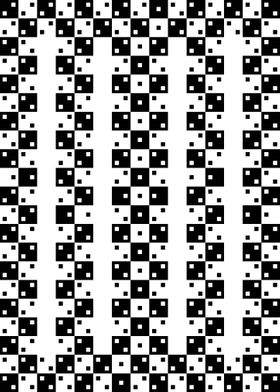 Warped Square Illusion