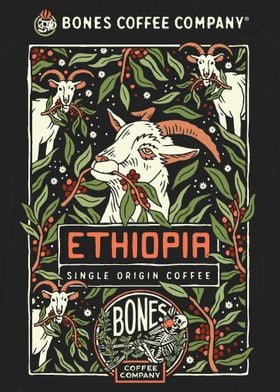 Ethiopia Coffee