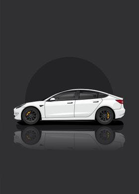 Tesla Model 3 Standard Ran