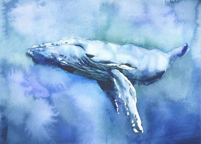 Whale watercolor painting