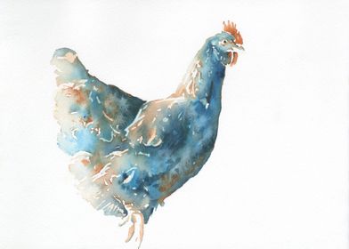 Chicken watercolor art