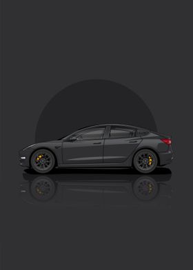 Tesla Model 3 Standard Ran