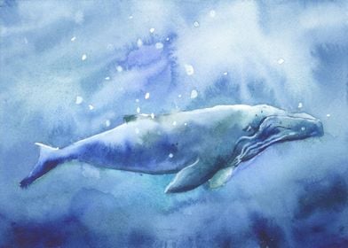 Whale watercolor painting