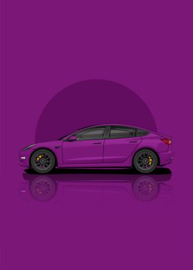 Tesla Model 3 Standard Ran